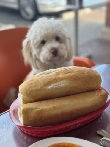 Le Croissant Doré